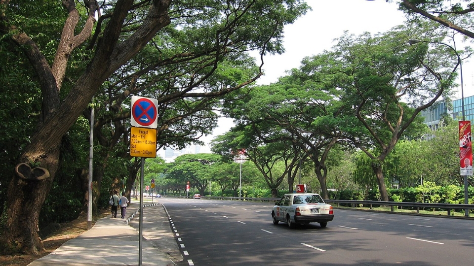 Grand Anderson near Dunearn Road, eastbound towards the city